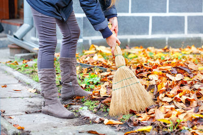 On an autumn day, a woman with a broom in her hands sweeps the fallen yellow leaves in her courtyard