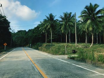 Road amidst palm trees against sky