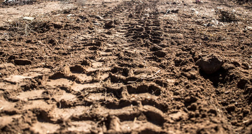 Full frame shot of mud on beach