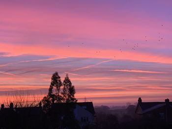 Silhouette birds against sky during sunset