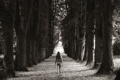 Rear view of woman walking on dirt road in forest