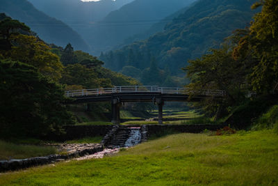 Bridge over river amidst trees