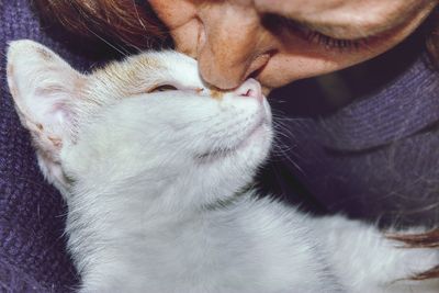 Close-up of a cat with eyes closed