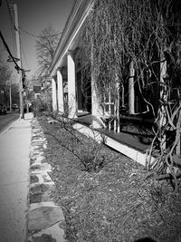 Empty footpath amidst buildings and trees in city