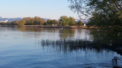 Scenic view of lake against clear sky