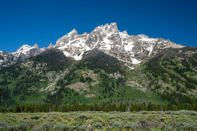 Scenic view of snowcapped mountains against clear blue sky