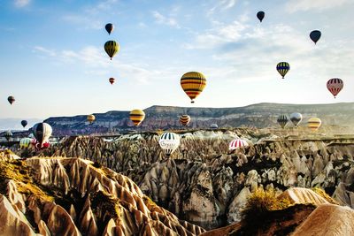 Low angle view of hot air balloons