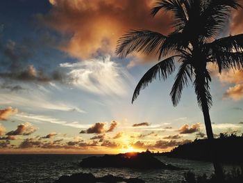 Silhouette palm tree by sea against sky during sunset