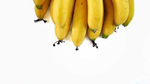 Close-up of bananas against white background