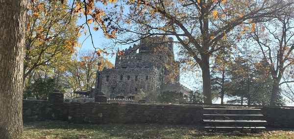 Trees in park during autumn