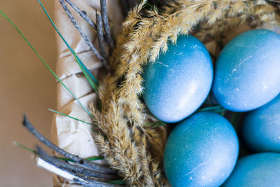 Close-up of eggs