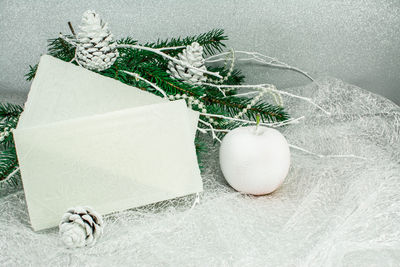 High angle view of christmas tree in box