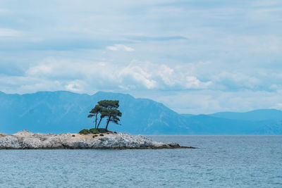 Two pine trees on a rock, crystal clear turquoise water, cape amarandos at skopelos island, greece