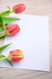 Close-up of tulips with greeting card on table