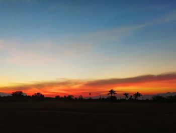 Silhouette trees on field against sky during sunset