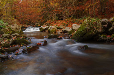 Stream flowing through rocks in forest during autumn