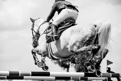 Man riding horse