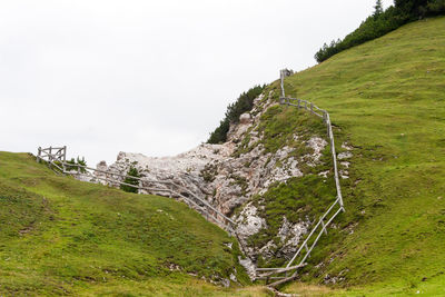 Scenic view of field against clear sky