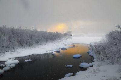 Snow covered trees against sky during winter