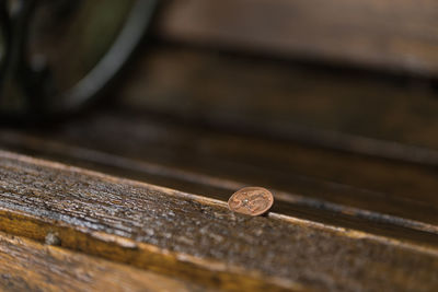 5 eurocent on a wooden bench at a rainy day.