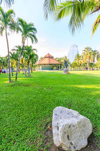 Lawn by building against sky