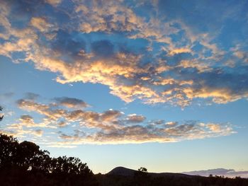 Low angle view of silhouette trees against sky