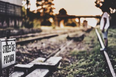 Railroad tracks amidst trees