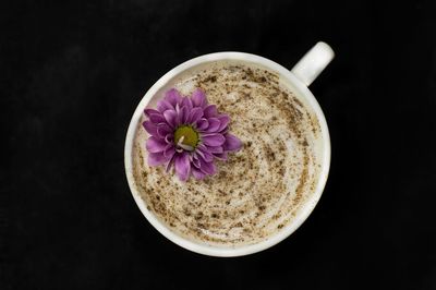 Close-up of pink flower against black background