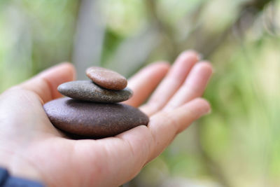 Close-up of hand holding pebbles