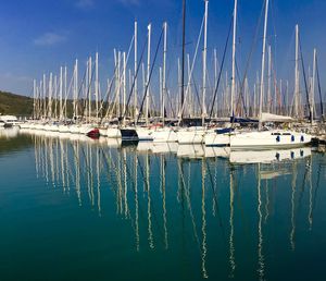 Sailboats moored in harbor