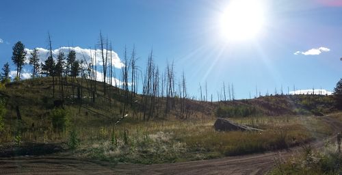 Panoramic view of landscape against sky