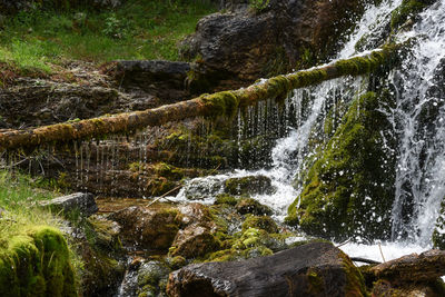 Scenic view of waterfall in forest