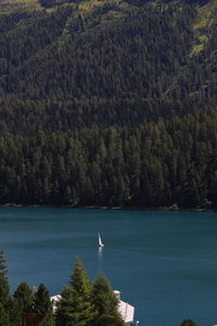 Scenic view of sea against trees