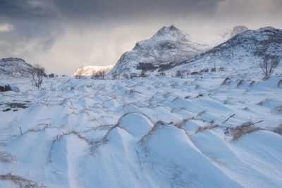 Scenic view of frozen landscape against sky