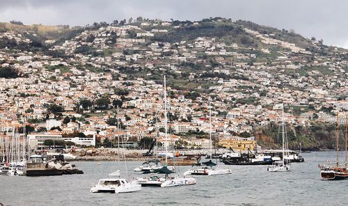 View of boats in harbor