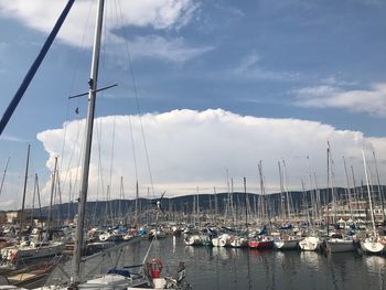 Sailboats moored in harbor