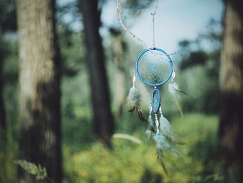 Close-up of dreamcatcher hanging against tree