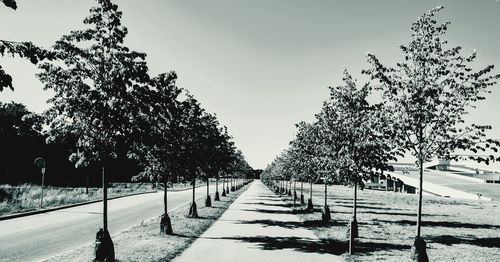 Empty road along trees in park against sky