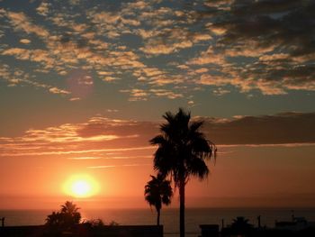 Silhouette palm trees on beach against romantic sky at sunset