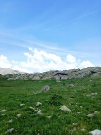 Scenic view of field against sky