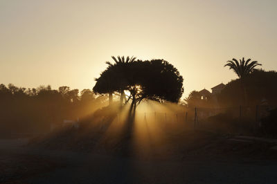 Silhouette palm trees against clear sky during sunset