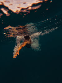 Close-up of  swimming in sea