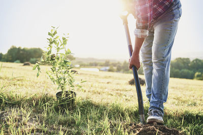 Midsection of person holding plants on field