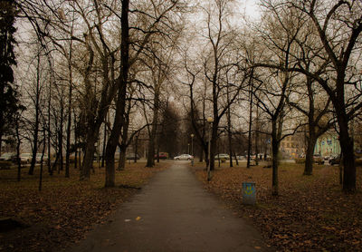 Road passing through forest