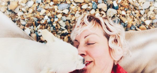 Directly above shot of dog licking woman