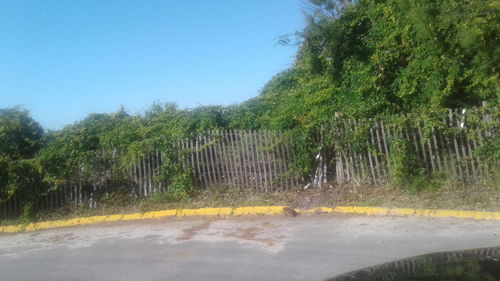 Road by trees against clear sky