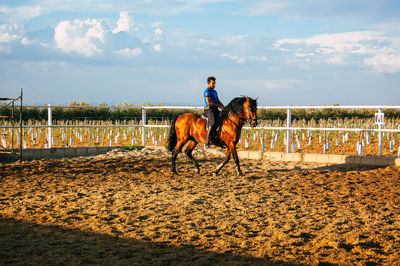 Man riding horse on field against sky