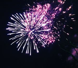 Low angle view of firework display at night