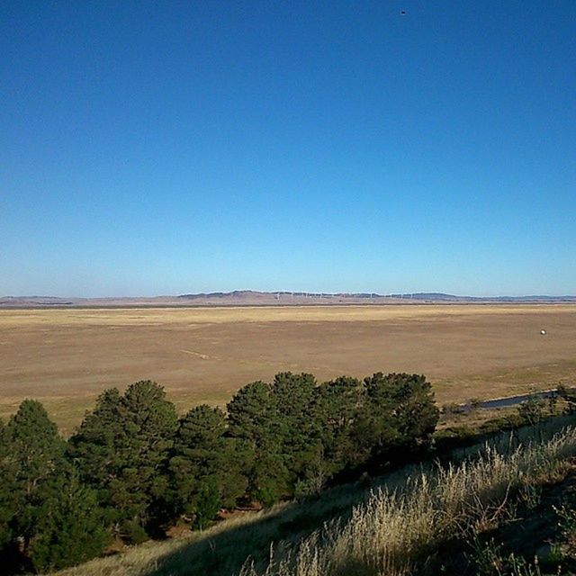 clear sky, copy space, tranquil scene, tranquility, blue, scenics, landscape, nature, beauty in nature, plant, growth, tree, field, water, non-urban scene, grass, idyllic, horizon over land, day, remote