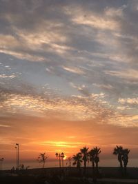 Silhouette trees against sky during sunset